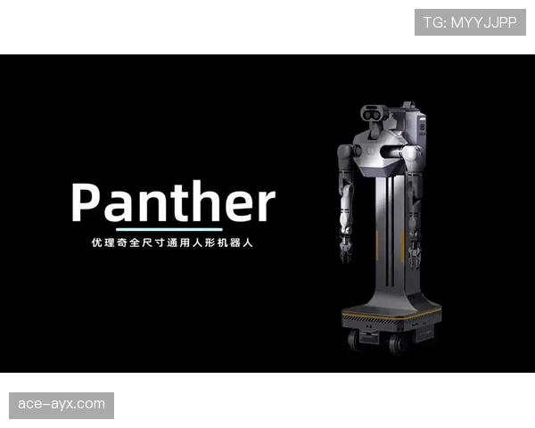 奥斯梅恩状态回暖，新一代黑豹前锋持续提升